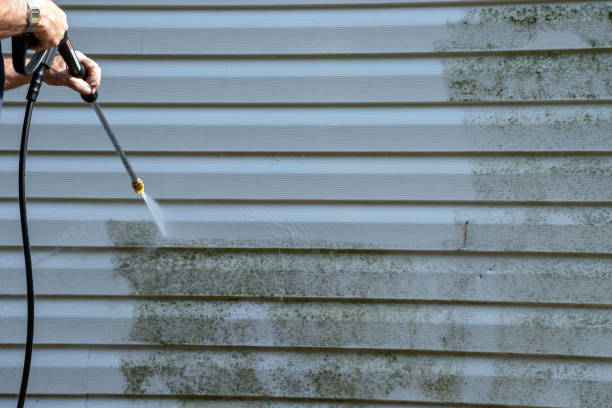 Trusted Buckeystown, MD Siding Services Experts