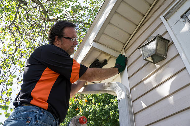 Best Storm Damage Siding Repair  in Buckeystown, MD